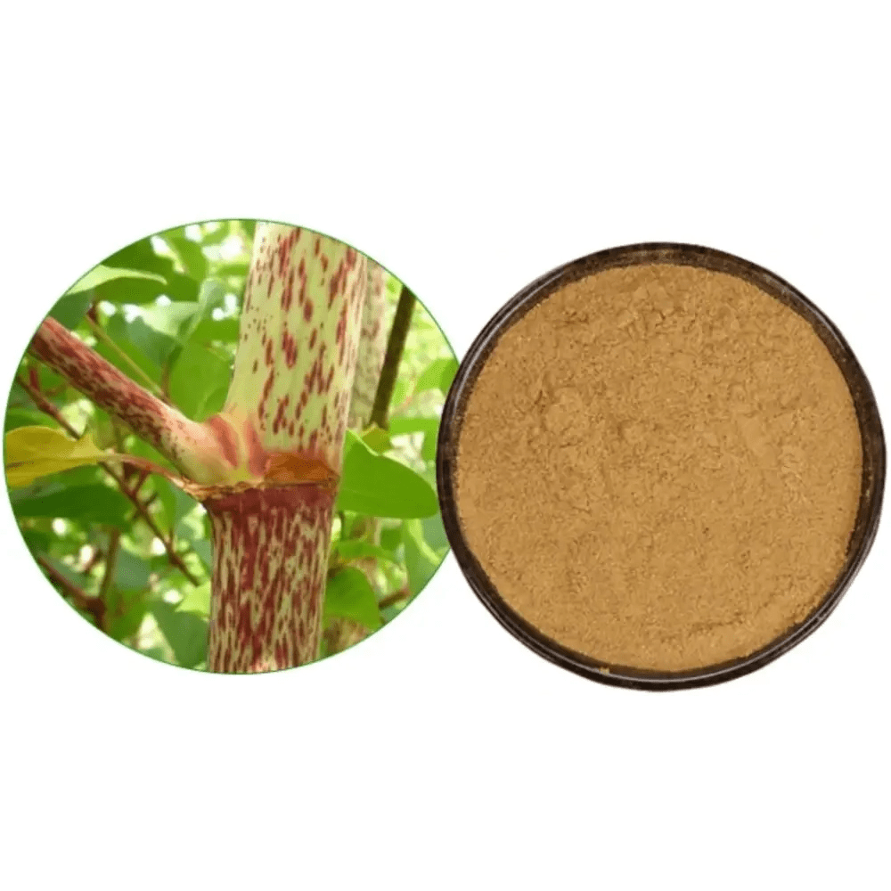 Japanese Knotweed Extract Powder - Bulk Supplier India - shop_name