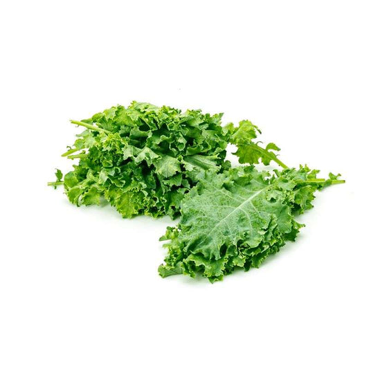 Kale Liquid Extract (Water Soluble) - Brassica oleracea - Bulk Supplier India - shop_name