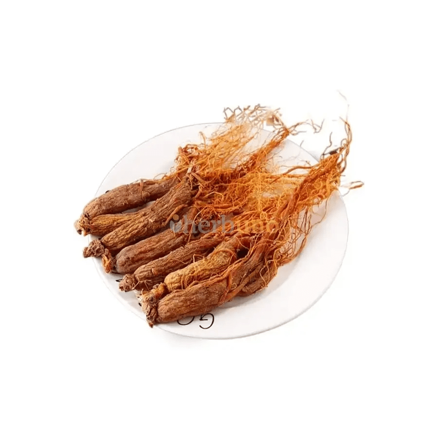 6 - Year Korean Red Ginseng Root Extract Powder (High Potency) - Bulk Supplier India - shop_name