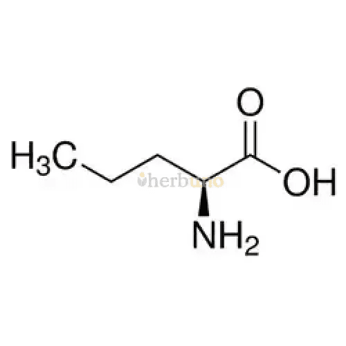 L - Norvaline Powder - Bulk Supplier India - shop_name