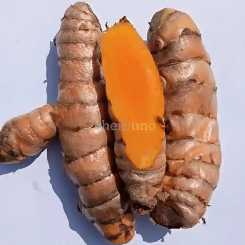 Lakadong Turmeric Powder - High Curcumin Content - Herbuno.Com