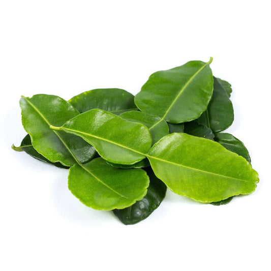 Lemon Leaf Liquid Extract (Water Soluble) - Citrus limon - Bulk Supplier India - shop_name
