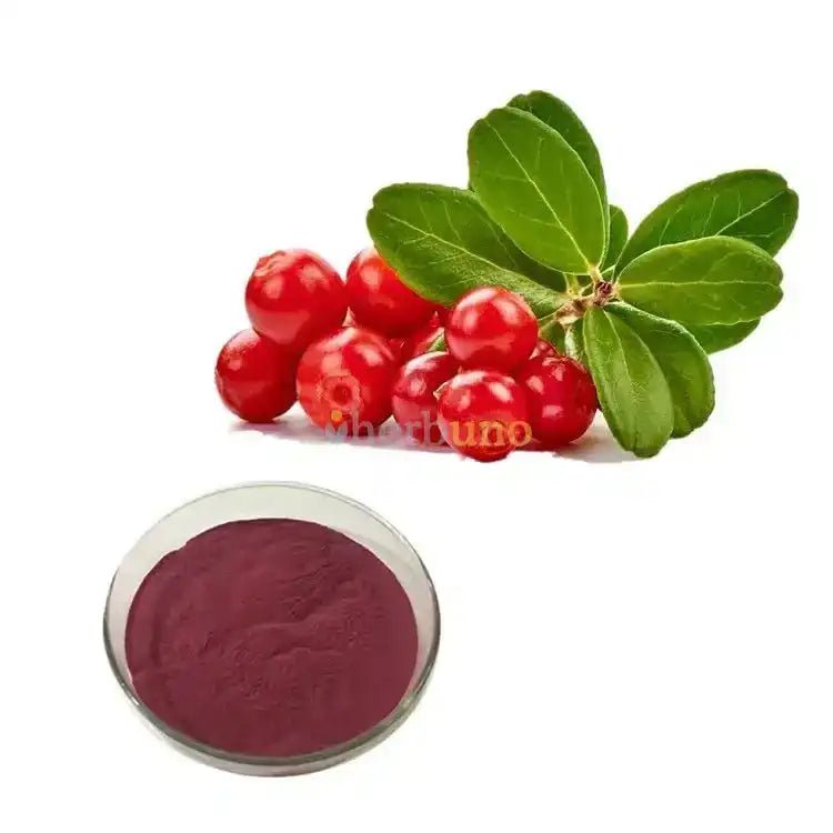 Lingonberry Extract Powder - Bulk Supplier India - shop_name