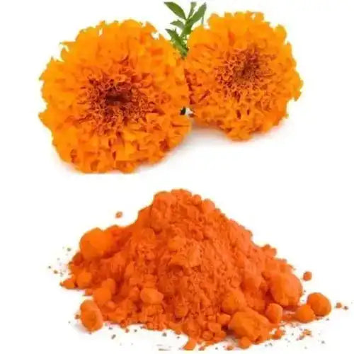 Marigold Flower Extract Powder - Herbuno.Com