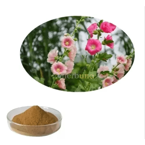 Marshmallow Extract Powder - Bulk Supplier India - shop_name