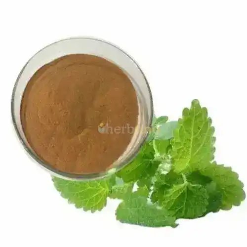 Melissa officinalis (Lemon Balm) Extract Powder - Bulk Supplier India - shop_name