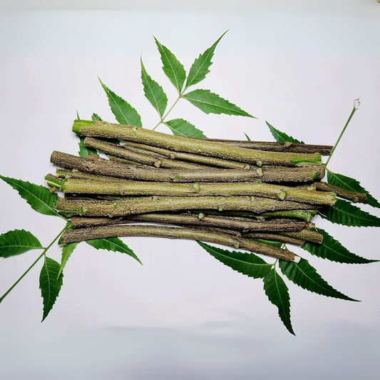Neem Bark Liquid Extract (Water Soluble) - Azadirachta indica - Herbuno.Com