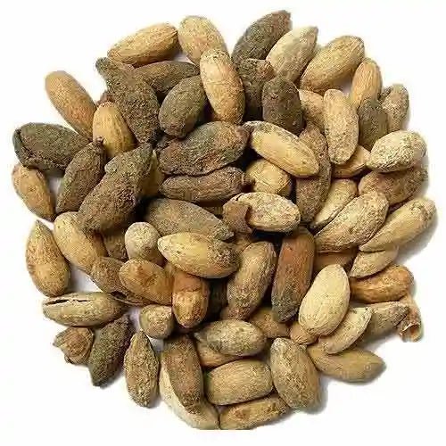 Neem Seed Liquid Extract (Water Soluble) - Azadirachta indica - Herbuno.Com
