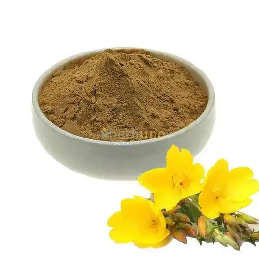 Evening Primrose Liquid Extract (Water Soluble) - Oenothera biennis - Bulk Supplier India - shop_name
