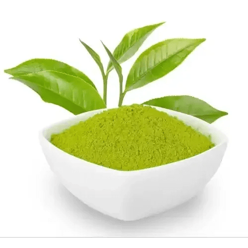 Green Tea Liquid Extract (Water Soluble) - Camellia sinensis - Bulk Supplier India - shop_name