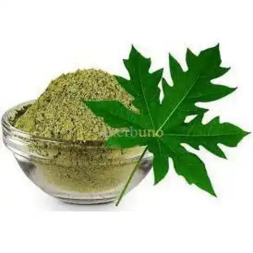 Papaya Leaf Extract Powder - Herbuno.Com