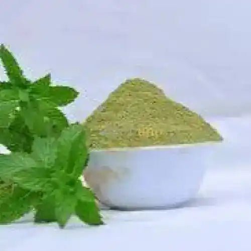 Peppermint Extract Powder - Bulk Supplier India - shop_name
