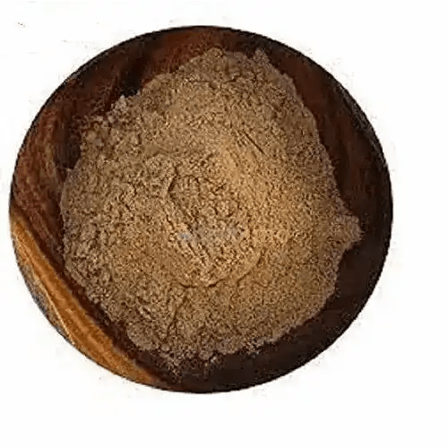 Picrorhiza Kurroa (Kutki) Extract Powder - Bulk Supplier India - shop_name