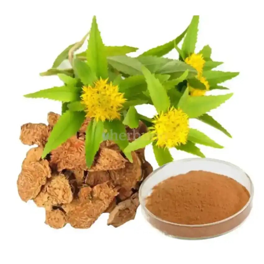 Rhodiola Rosea Extract Powder - Bulk Supplier India - shop_name