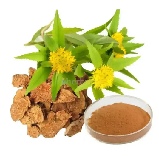 Rhodiola Rosea Extract Powder - Herbuno.Com