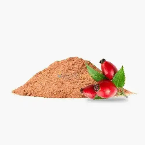 Rosa Canina (Rose Hip) Extract Powder - Herbuno.Com