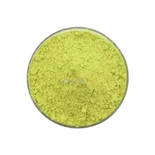 Rutin Extract Powder (95%) - Bulk Supplier India - shop_name