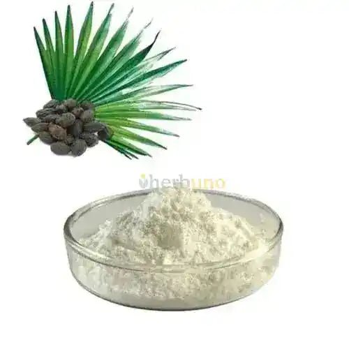 Saw Palmetto Extract Powder - Bulk Supplier India - shop_name
