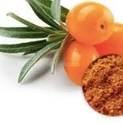Sea Buckthorn Extract Powder - Bulk Supplier India - shop_name