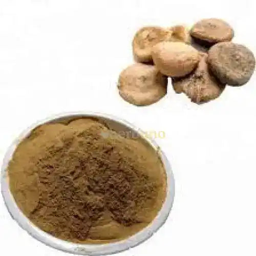 Shudh Kuchla Extract Powder - Detoxified Alkaloids - Herbuno.Com