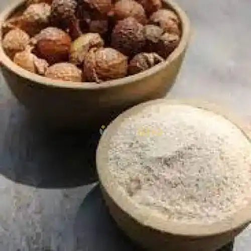Soapnut Extract Powder - Bulk Supplier India - shop_name