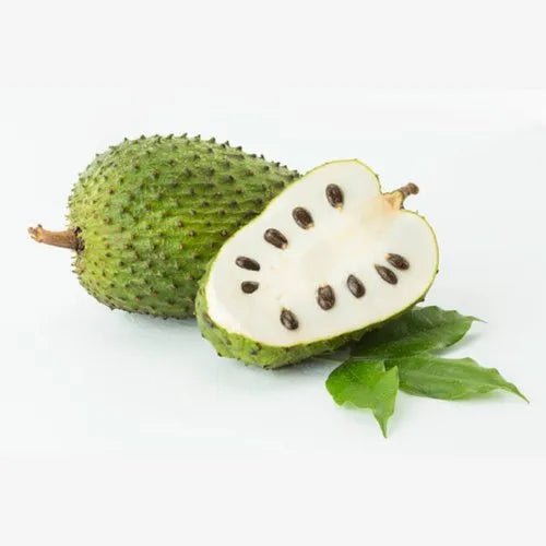 Soursop Fruit Liquid Extract (Water Soluble) - Annona muricata - Herbuno.Com