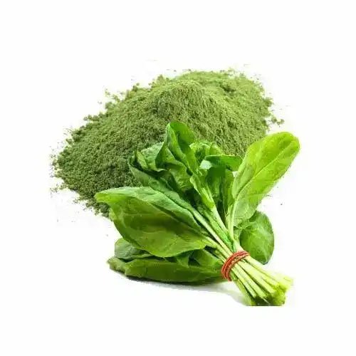 Spinach Powder - Nutrient-Rich - Herbuno.Com
