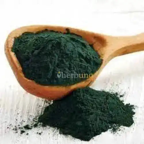 Spirulina Platensis Extract Powder - Nutrient-Rich - Herbuno.Com