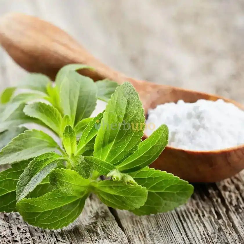 Pure Stevia Leaf Extract Powder (Ultra - Concentrated) - Bulk Supplier India - shop_name