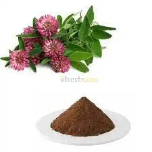 Trifolium Pratense (Red Clover) Extract Powder - Bulk Supplier India - shop_name