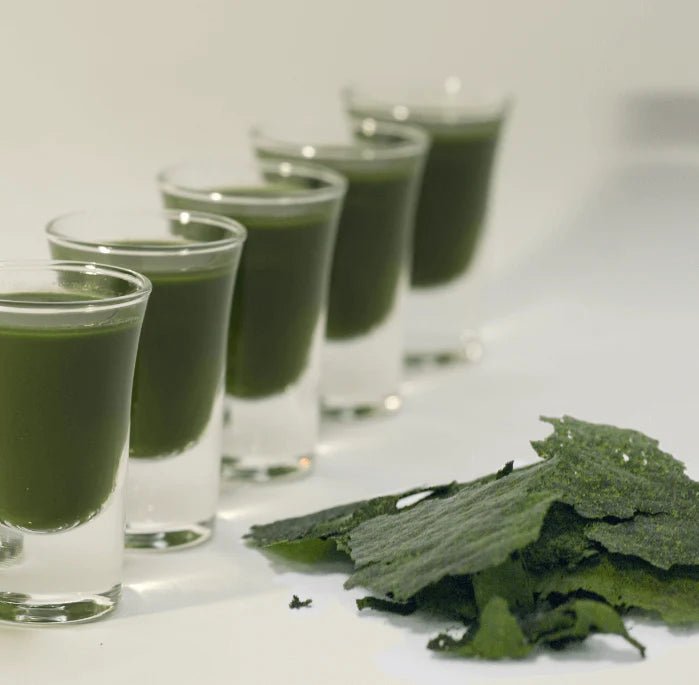 Vitamin B12 — from Chlorella vulgaris - Bulk Supplier India - shop_name