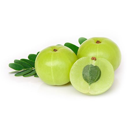 Vitamin C (50%) — from Emblica officinalis (Amla) - Bulk Supplier India - shop_name