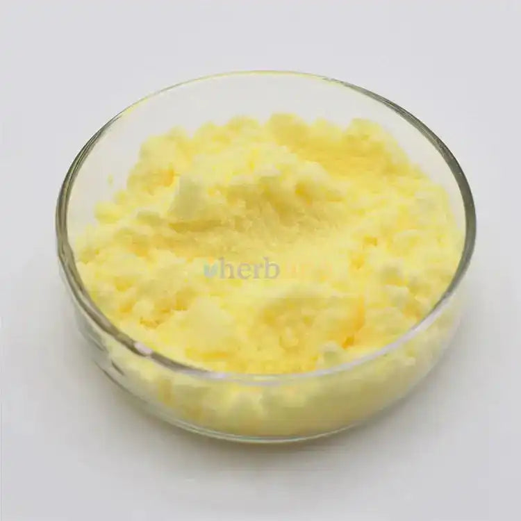 Alpha-Lipoic Acid (ALA) Powder - Herbuno (Gausyn Global LLP)