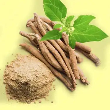 Ashwagandha Root Extract Powder - Herbuno (Gausyn Global LLP)