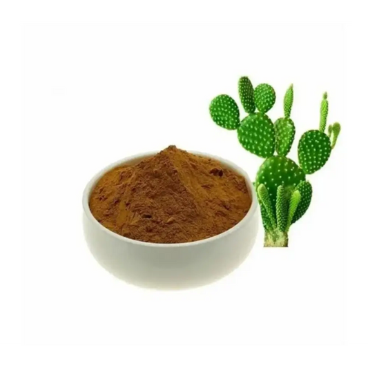 Caralluma Fimbriata Extract Powder - Herbuno (Gausyn Global LLP)