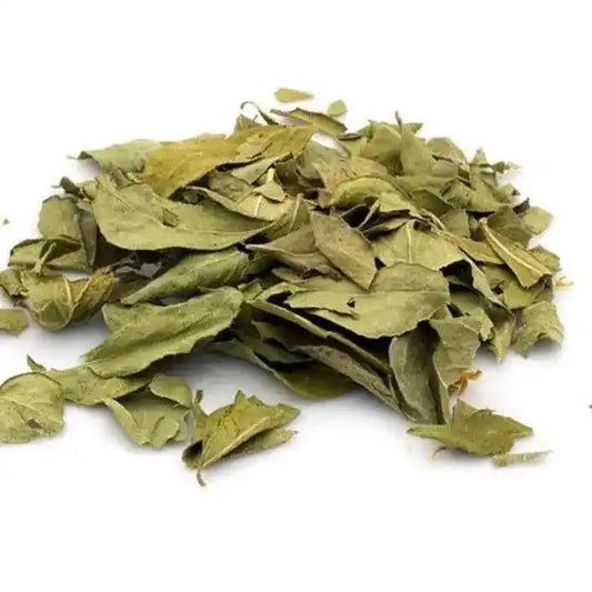 Dehydrated Curry Leaves - Murraya koenigii - Herbuno (Gausyn Global LLP)