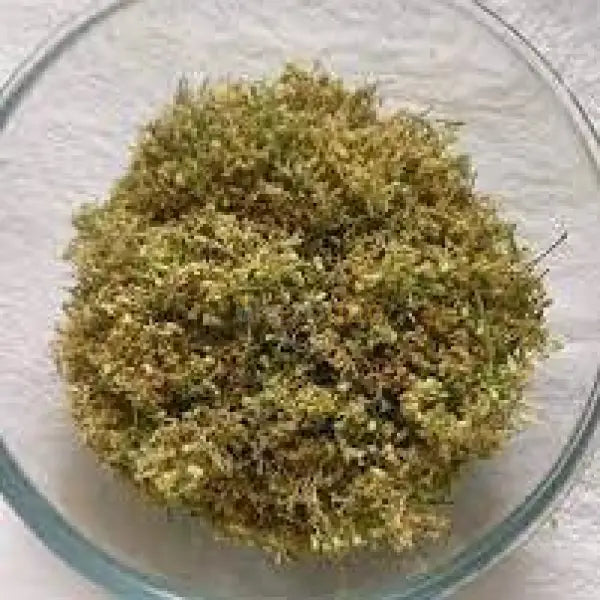 Dehydrated Neem Flower - Azadirachta indica - dried herbs