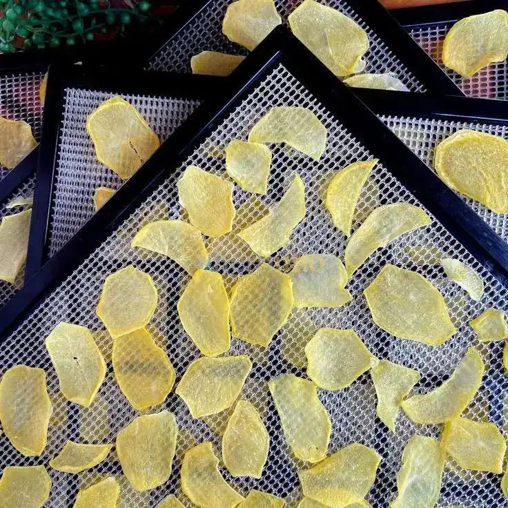 Dehydrated Potato Slices - Solanum tuberosum - Herbuno