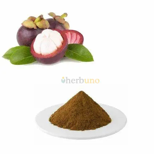 Garcinia mangostana (Mangosteen) Extract Powder - Herbuno