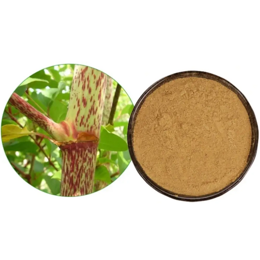 Japanese Knotweed Extract Powder - Herbuno (Gausyn Global LLP)