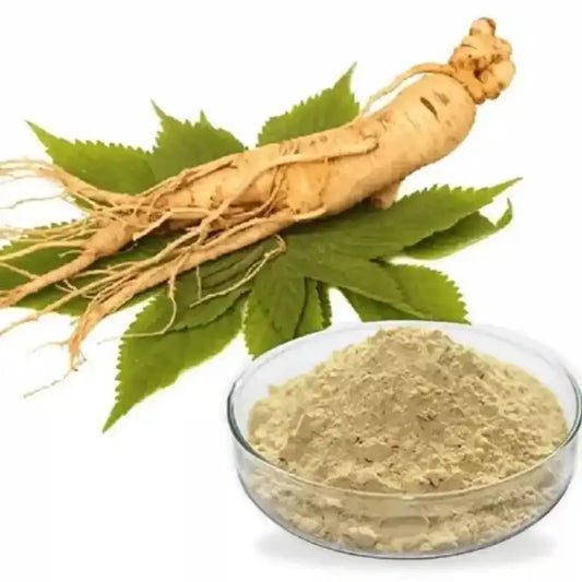 Asian Ginseng Extract Powder - Herbuno (Gausyn Global LLP)