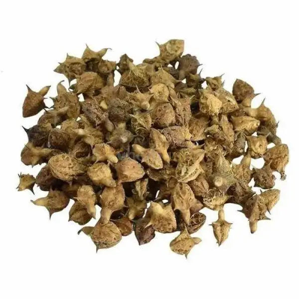Gokshura Extract Powder (Tribulus Terrestris) - other