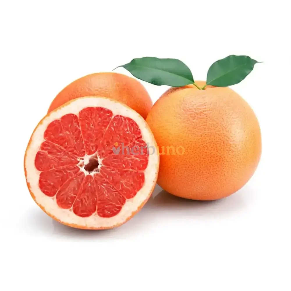 Grapefruit Extract Powder - Herbuno
