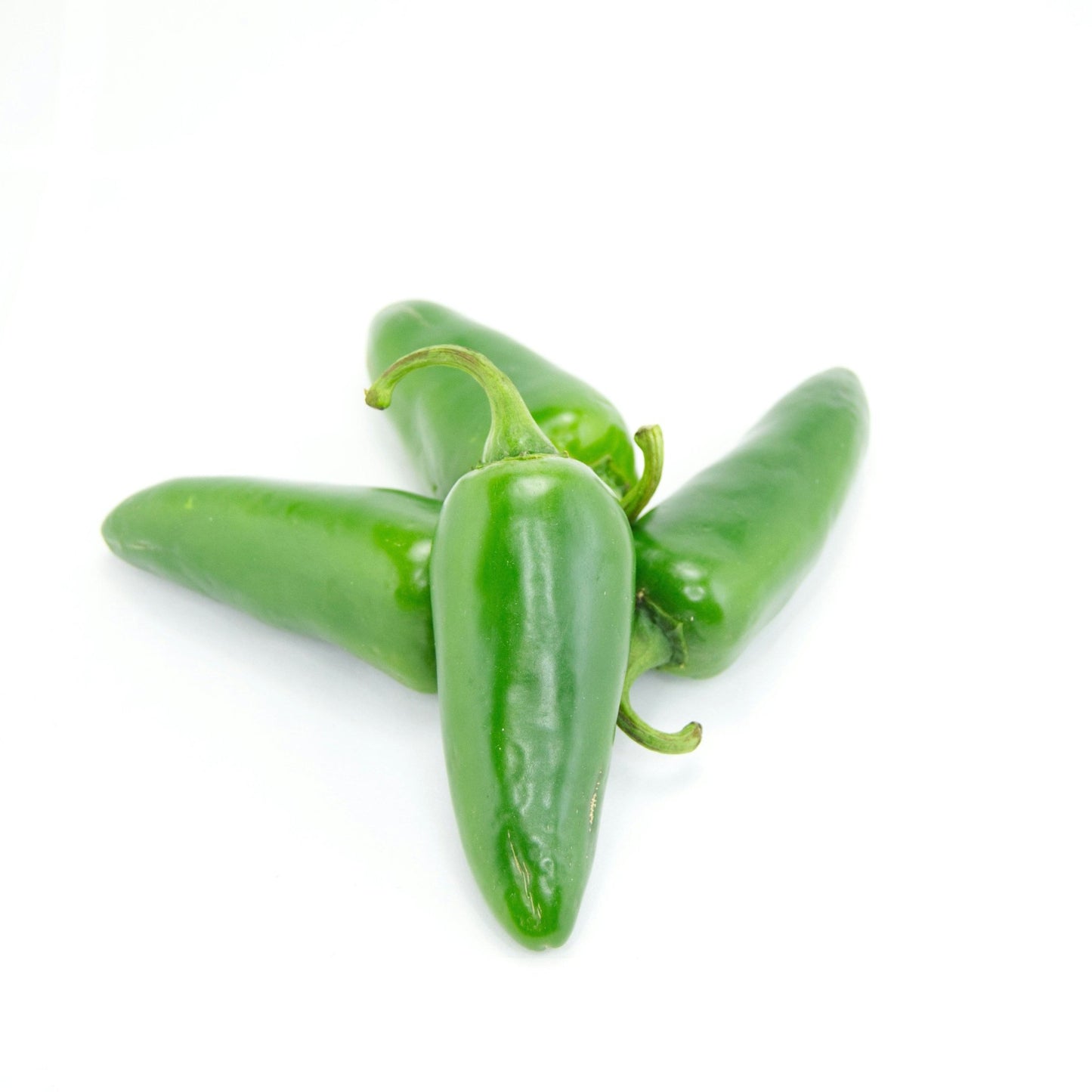 Green Chilli Extract Powder - Capsicum annuum - Bulk Supplier India