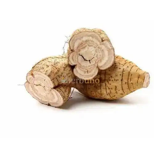 Indian Kudzu Extract Powder - Pueraria Tuberosa - Herbuno