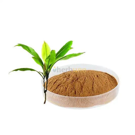 Kacip Fatimah Leaf Extract Powder - Herbuno (Gausyn Global LLP)