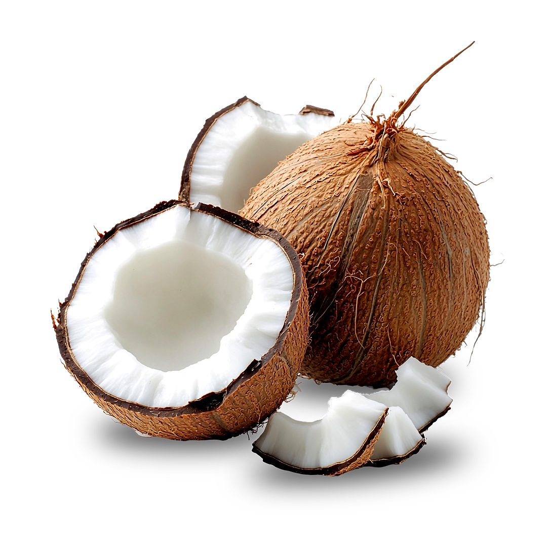 Coconut Fruit Extract Powder - Cocos nucifera L