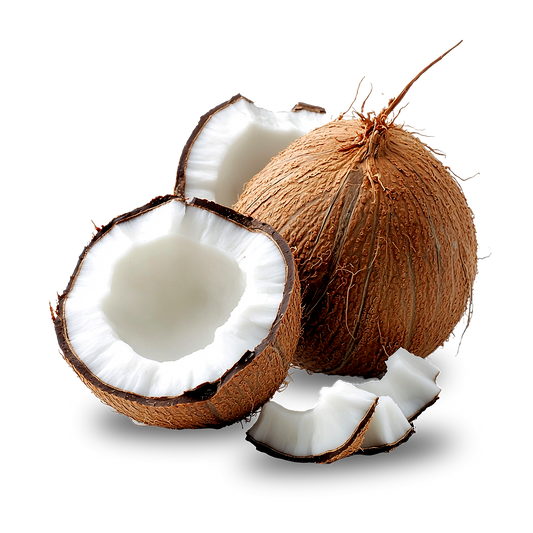Coconut Fruit Extract Powder - Cocos nucifera L