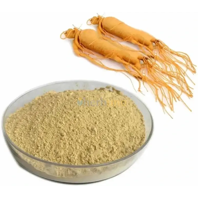 Korean Red Ginseng Extract Powder - Herbuno