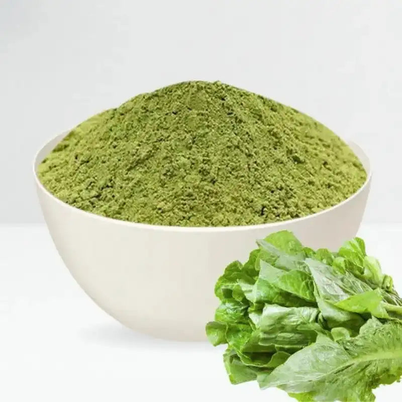 Lettuce Powder - Nutrient-Rich Green - Herbuno (Gausyn Global LLP)